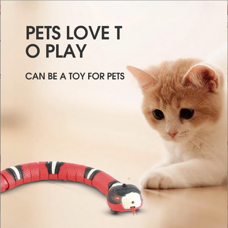Automatic Interactive Toy for Cats