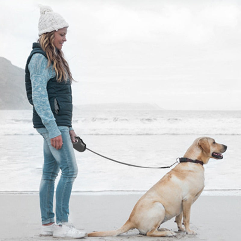 Guia retrátil para pets