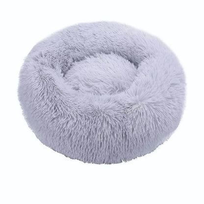 pet bed