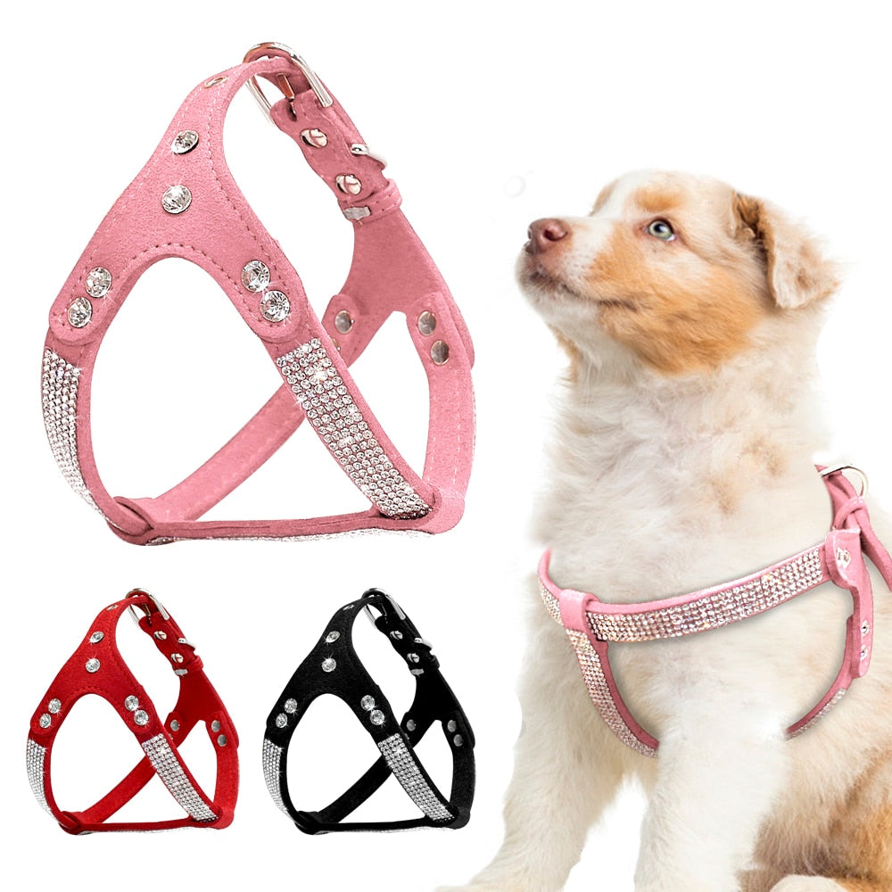 Dog harness 