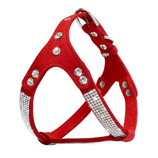 Dog harness 