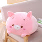 Pet Pillows