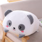 Pet Pillows