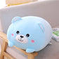 Pet Pillows