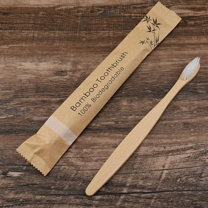 Bamboo ecological brush