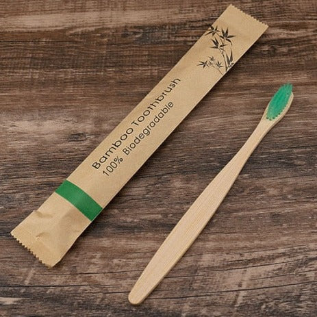 Bamboo ecological brush