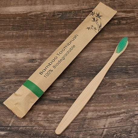 Bamboo ecological brush