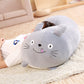 Pet Pillows