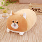 Pet Pillows