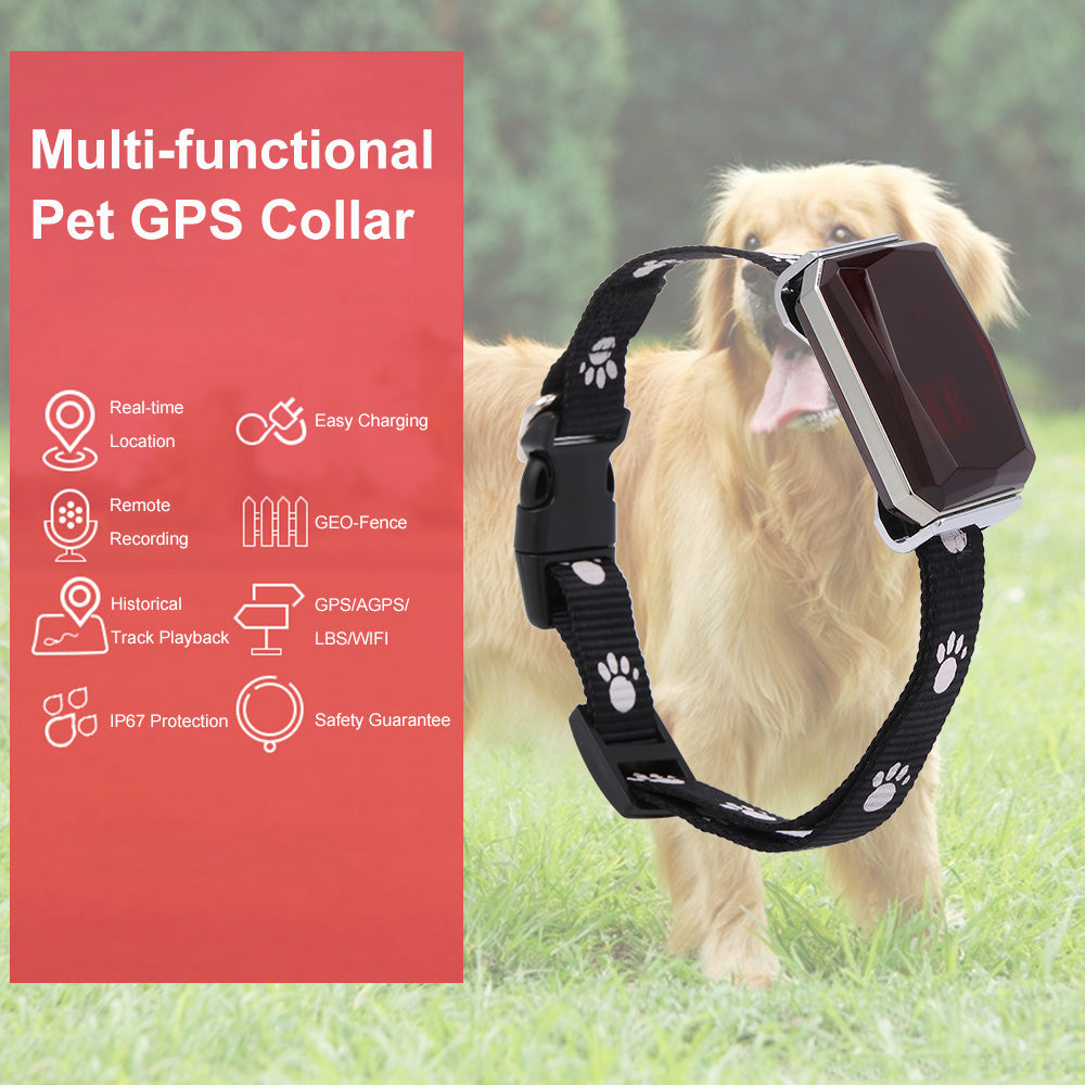 Collar with GPS