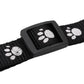 Collar with GPS
